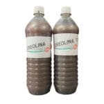 CREOLINA